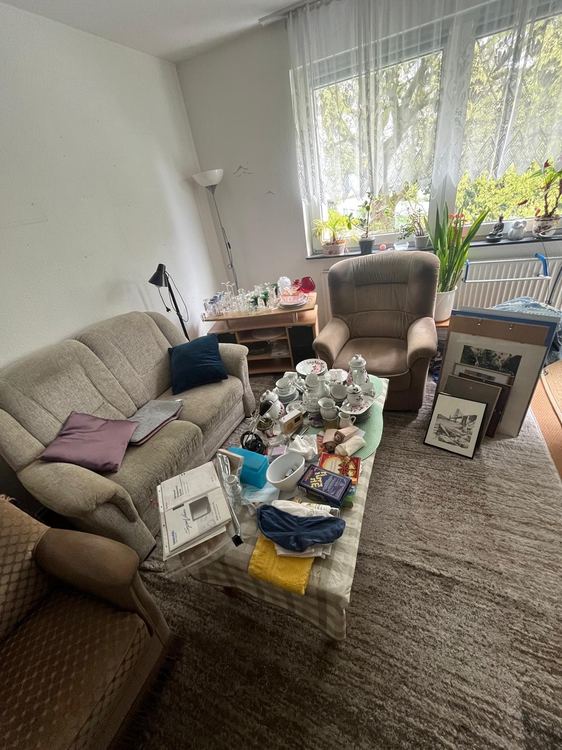 Eingerichtetes Wohnzimmer mit Sesseln und Pflanzen vor der Auflösung